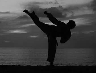 Gimnasio Goju Ryu Shorei Chile